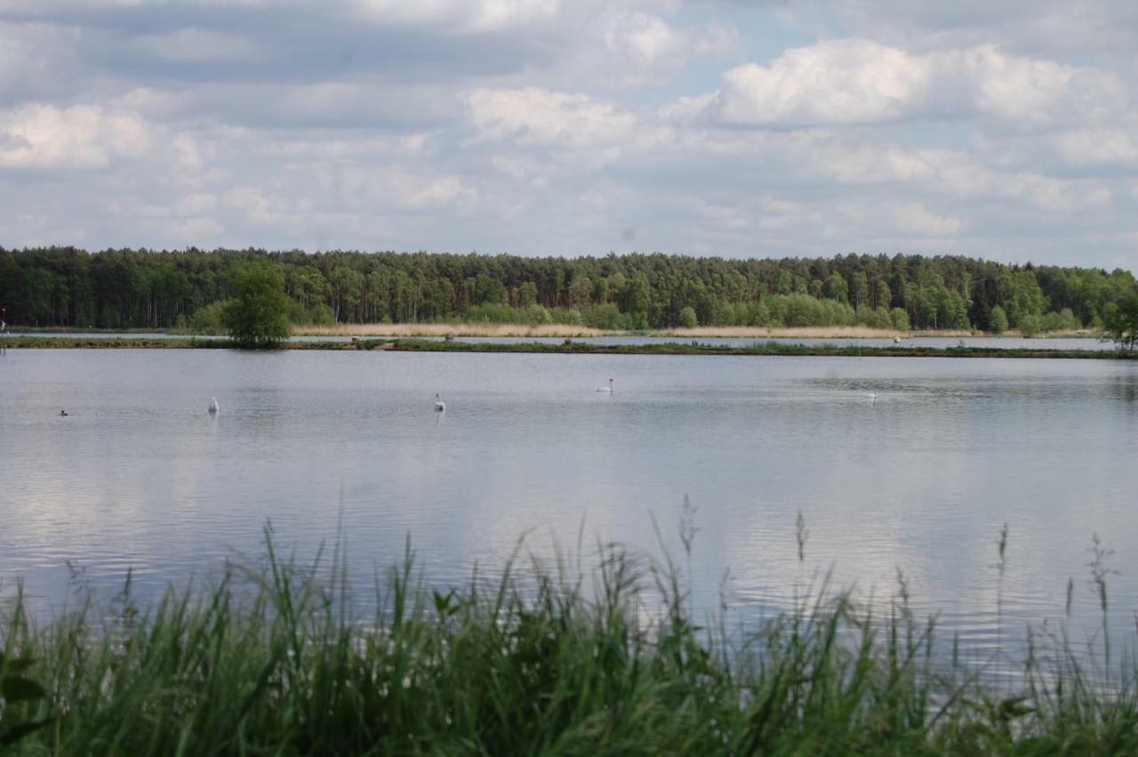 Center Angelos Bronków Exteriör bild